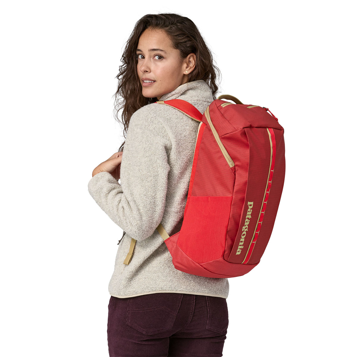 Patagonia Black Hole Pack 25L