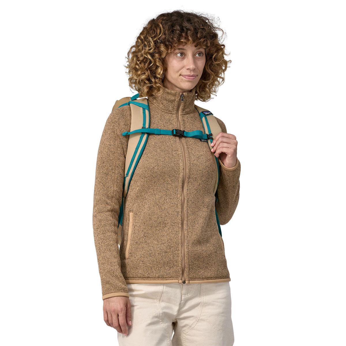 Patagonia Black Hole Pack 25L