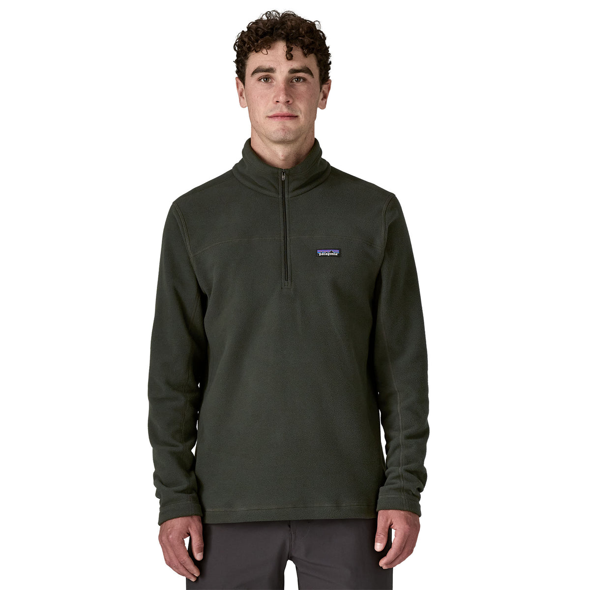 Patagonia M's Micro D Pullover