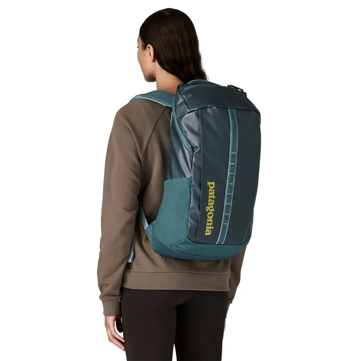 Patagonia Black Hole Pack 25L