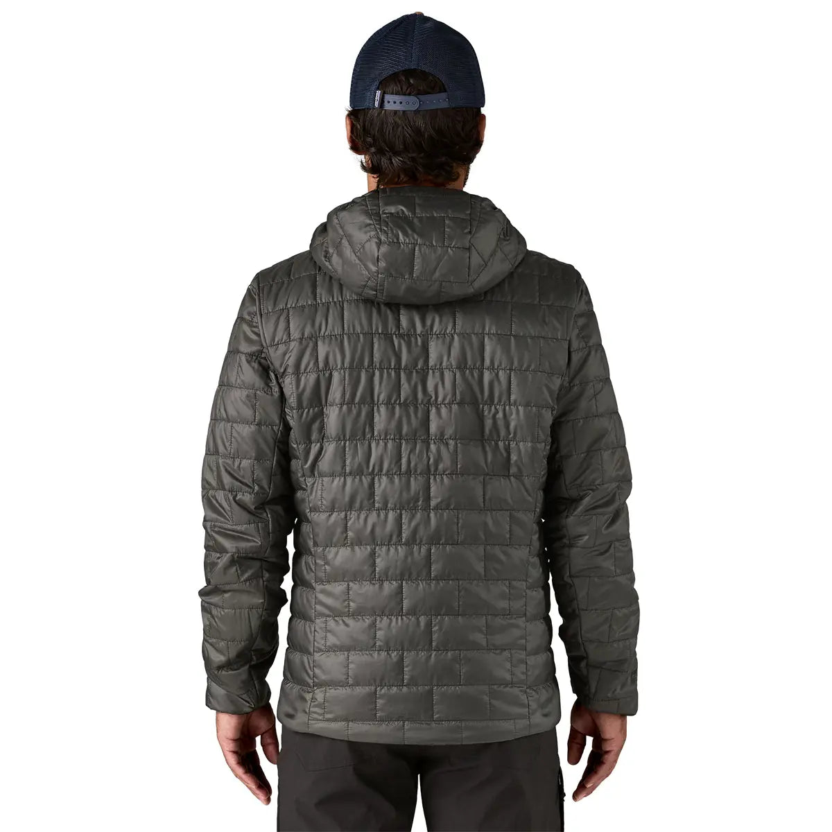 Patagonia M's Nano Puff Fitz Roy Trout Hoody