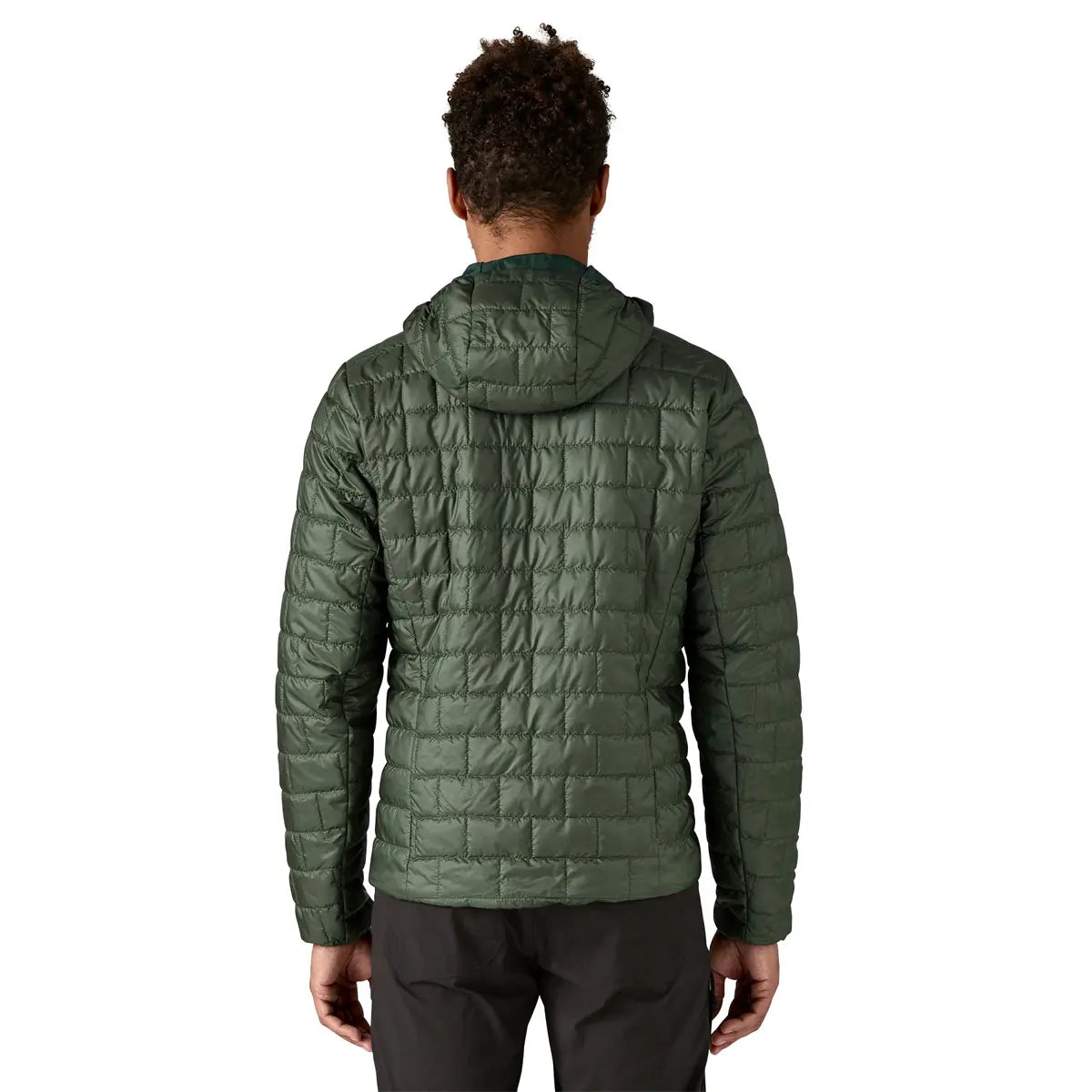 Patagonia M's Nano Puff Fitz Roy Trout Hoody