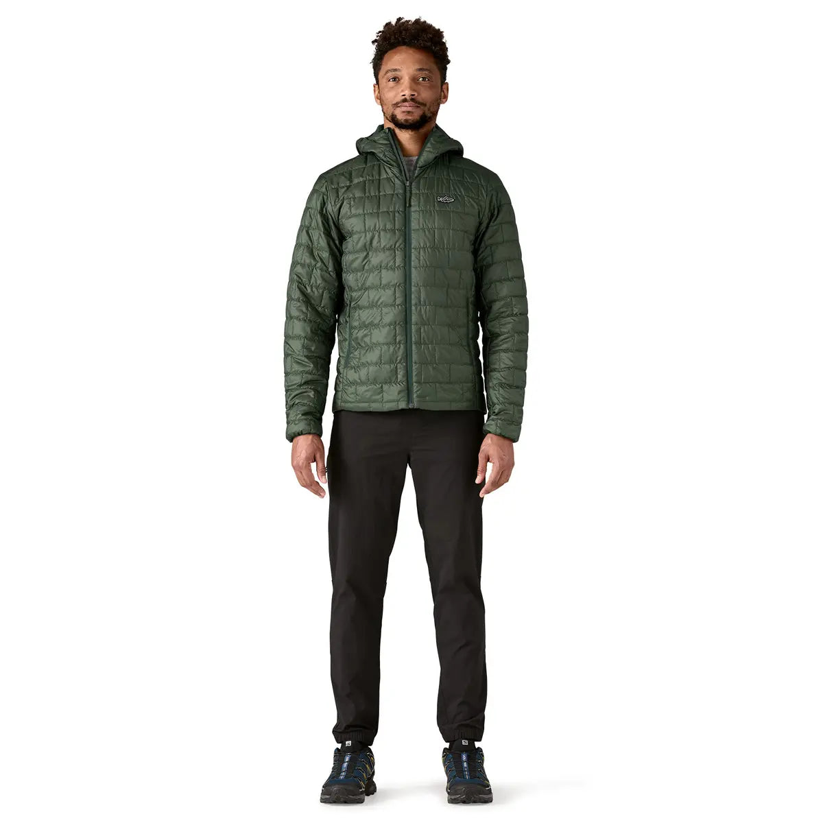 Patagonia M's Nano Puff Fitz Roy Trout Hoody