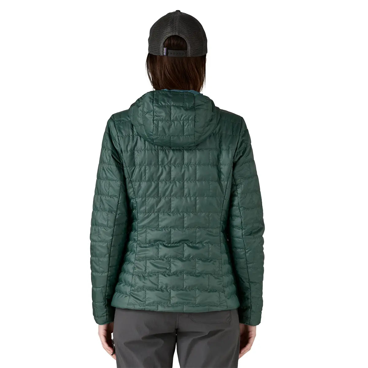 Patagonia W's Nano Puff Fitz Roy Trout Hoody