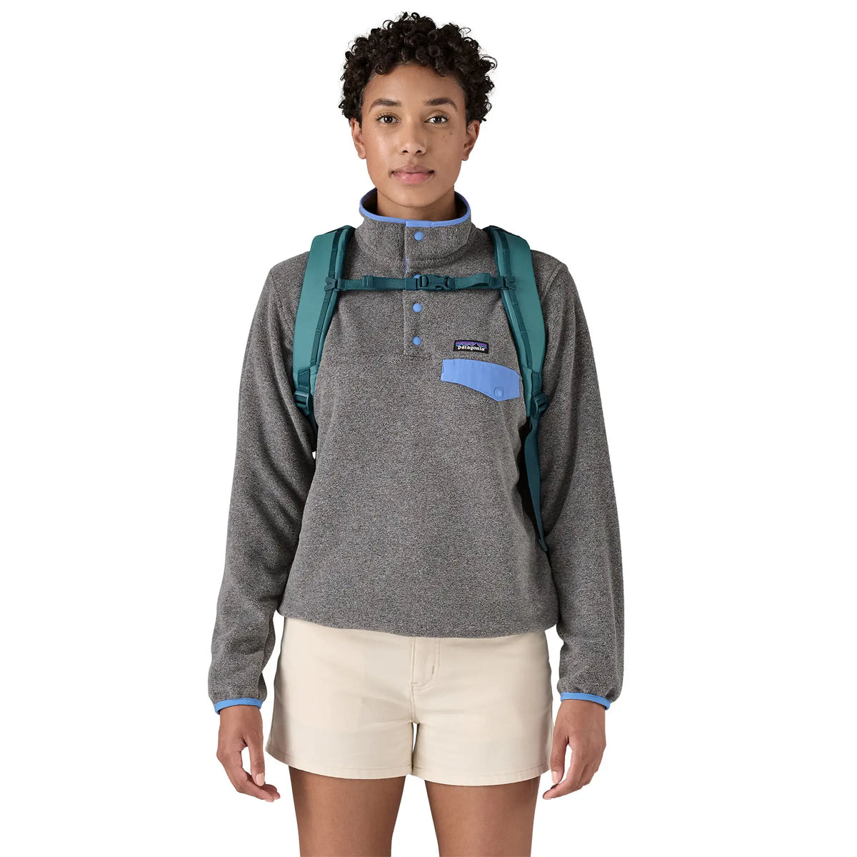 Patagonia Refugio Day Pack 26L