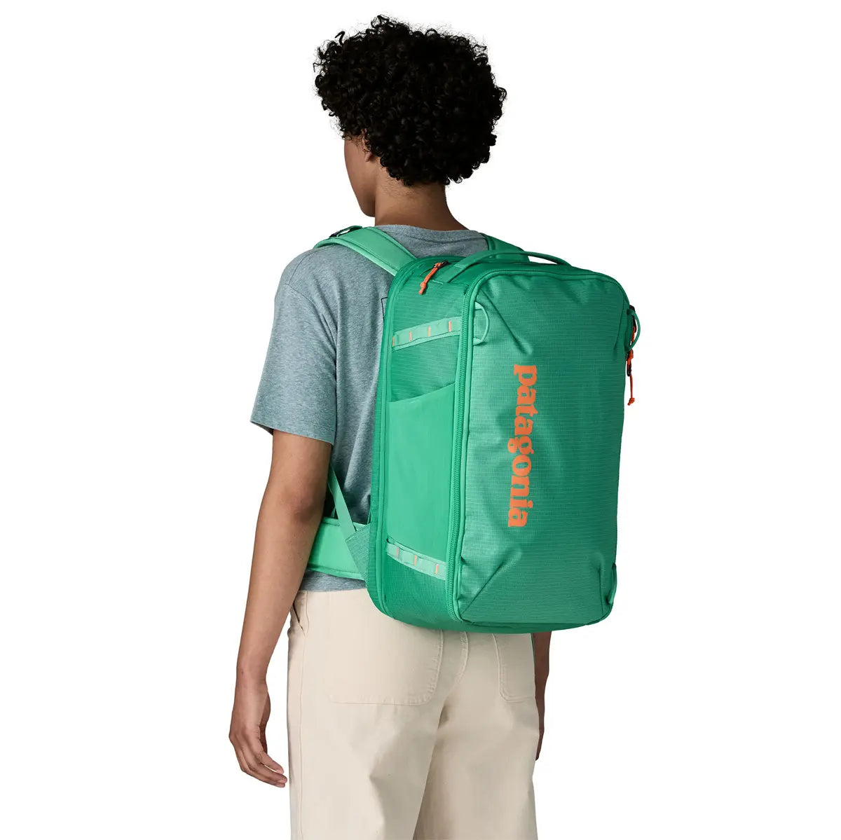 Patagonia Black Hole Mini MLC 30L