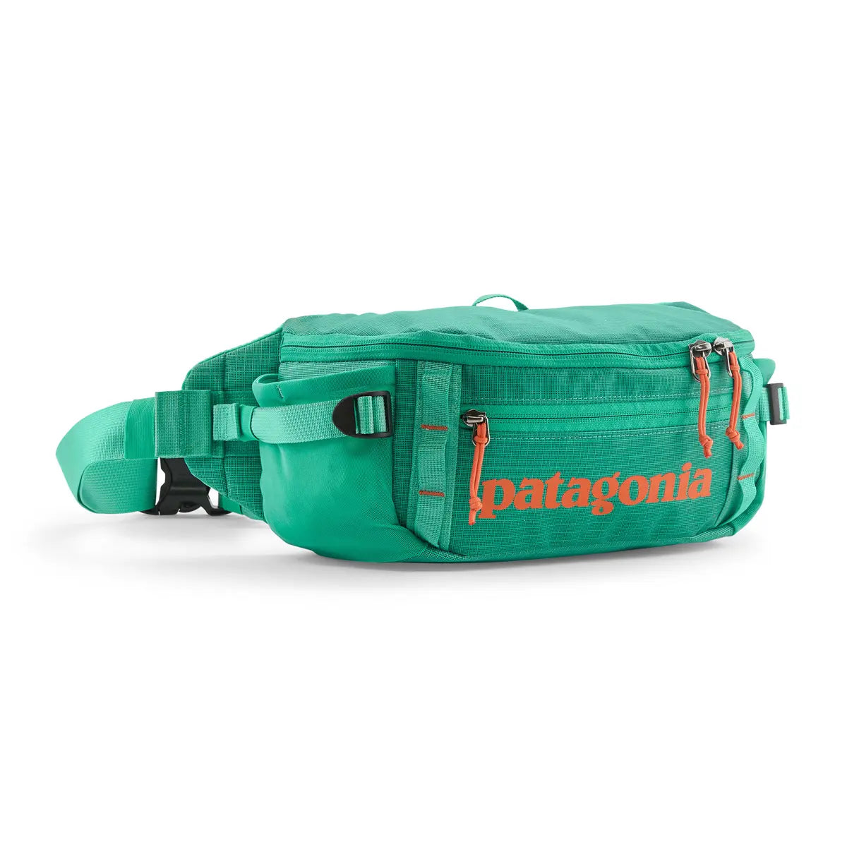美品　patagonia パタゴニア BLACK HOLE WAIST PACK patagonia-black-hole-waist-