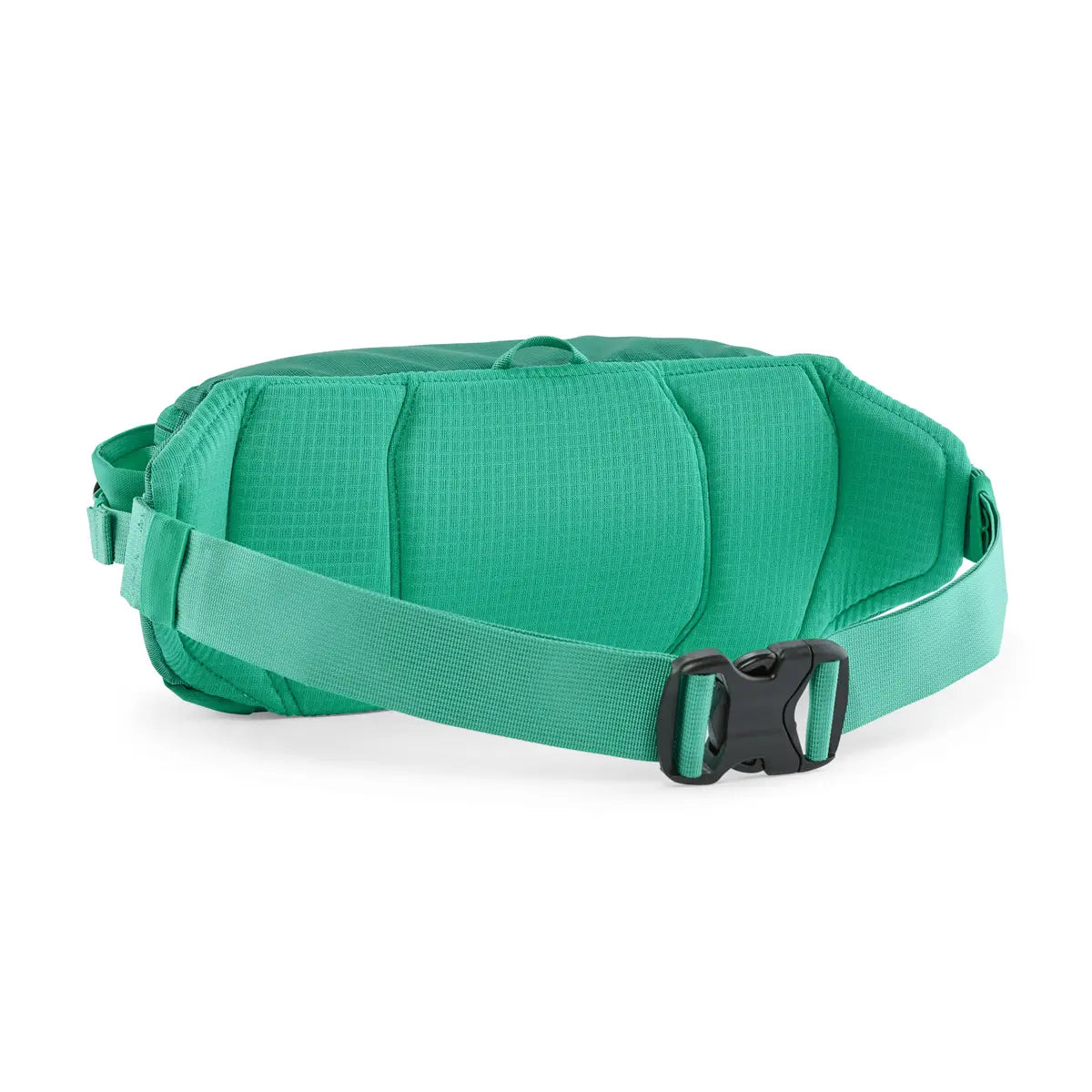 Patagonia Black Hole Waist Pack 5L - Fin & Fire Fly Shop