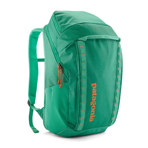 Patagonia Black Hole Pack 32L