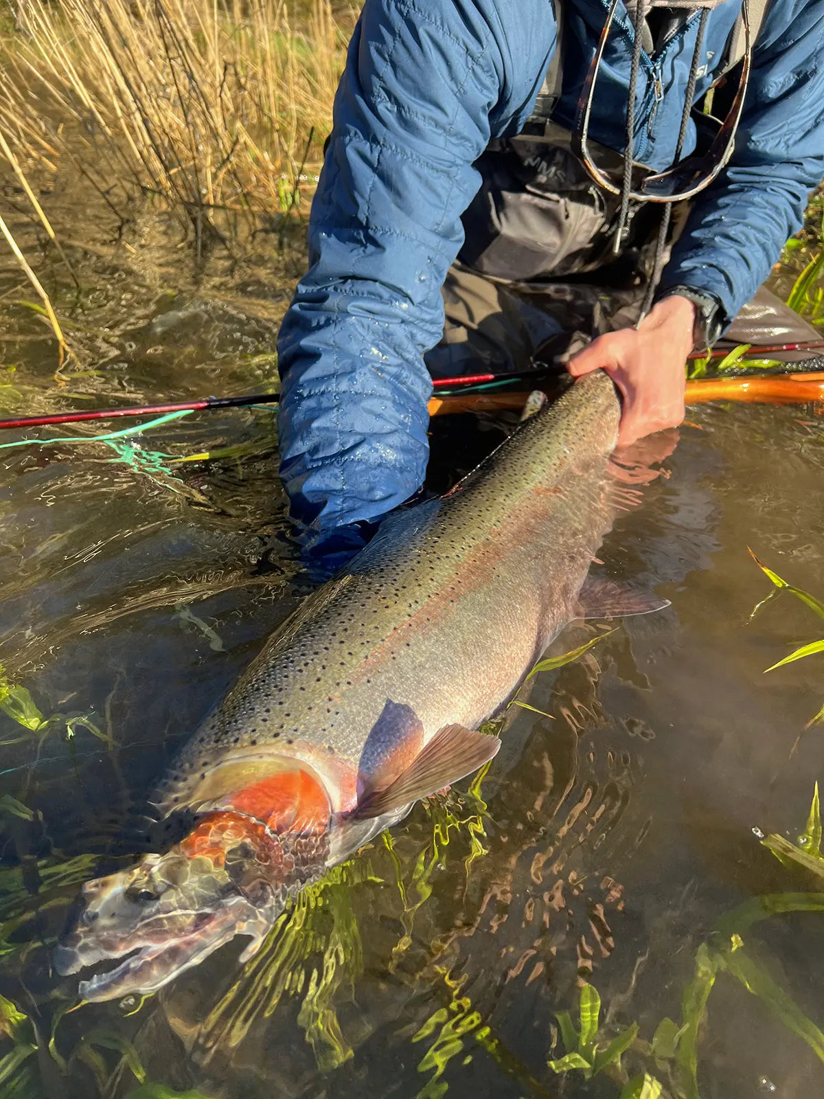 Oregon North Coast Winter Steelhead Adventure – Guided Float Trip – Full Day