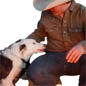 Poncho M's The Cotulla Shirt