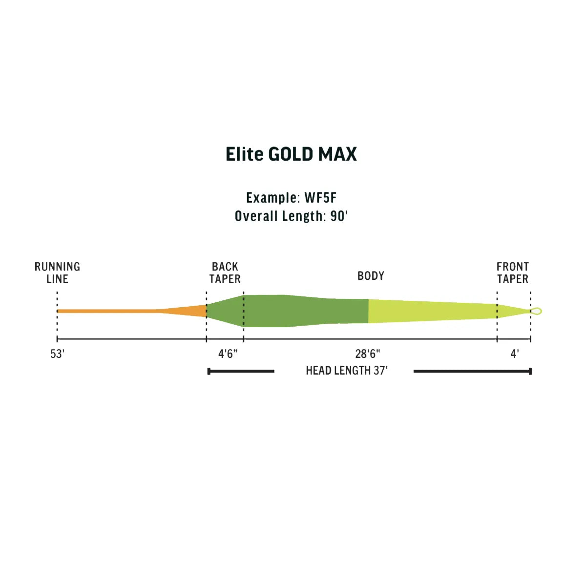 Rio Elite Gold Max Fly Line