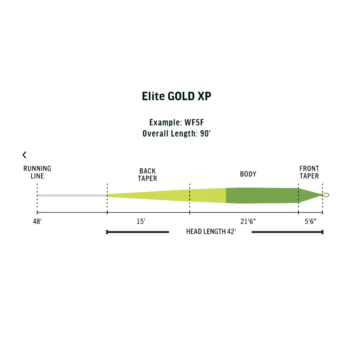 Rio Elite Gold XP Fly Line