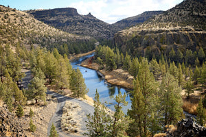 Crooked River Half Day Guide Trip