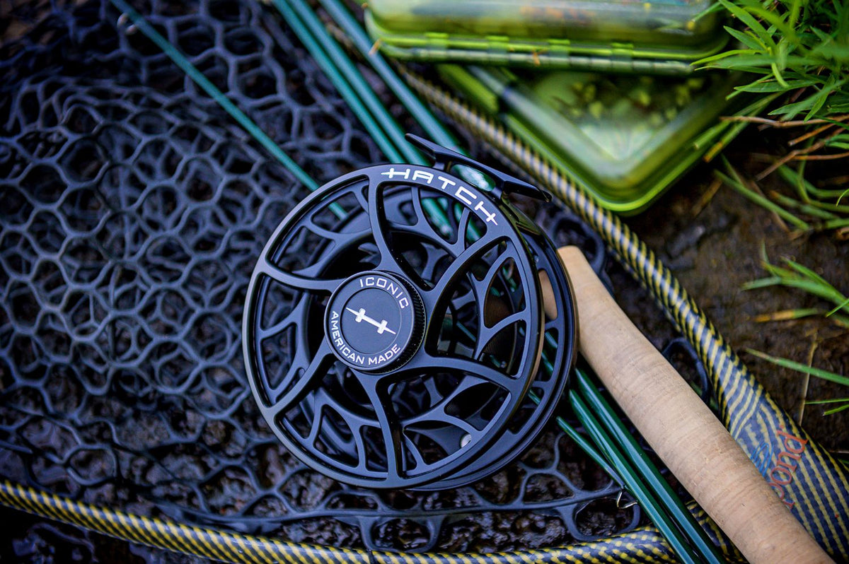 Hatch Iconic 11 Plus