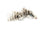 Montana Fly Company Galloup's Barred Mini Dungeon - White (3-Pack)