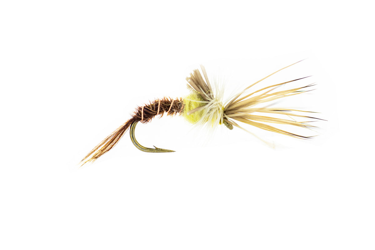 Rio's PMD Challenged (3-Pack)