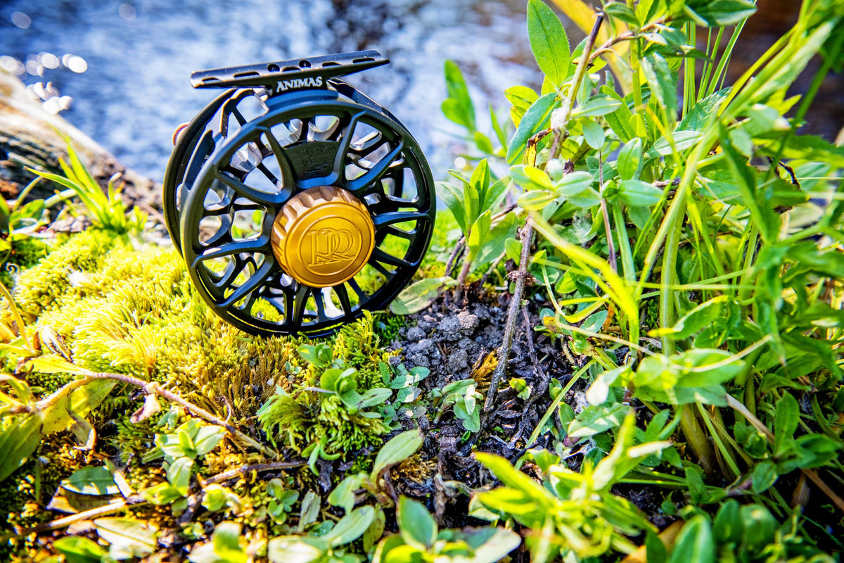 Ross Animas Fly Reel - Limited Edition - Mardi Gras Ross Animas Fly Reel - Limited Edition - Mardi Gras
