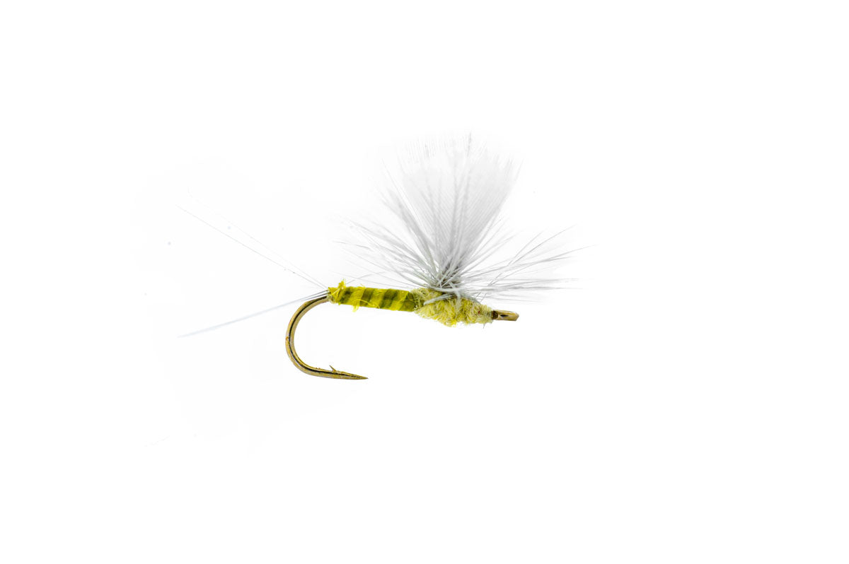Solitude's Winger Parachute   - PMD (3-Pack)