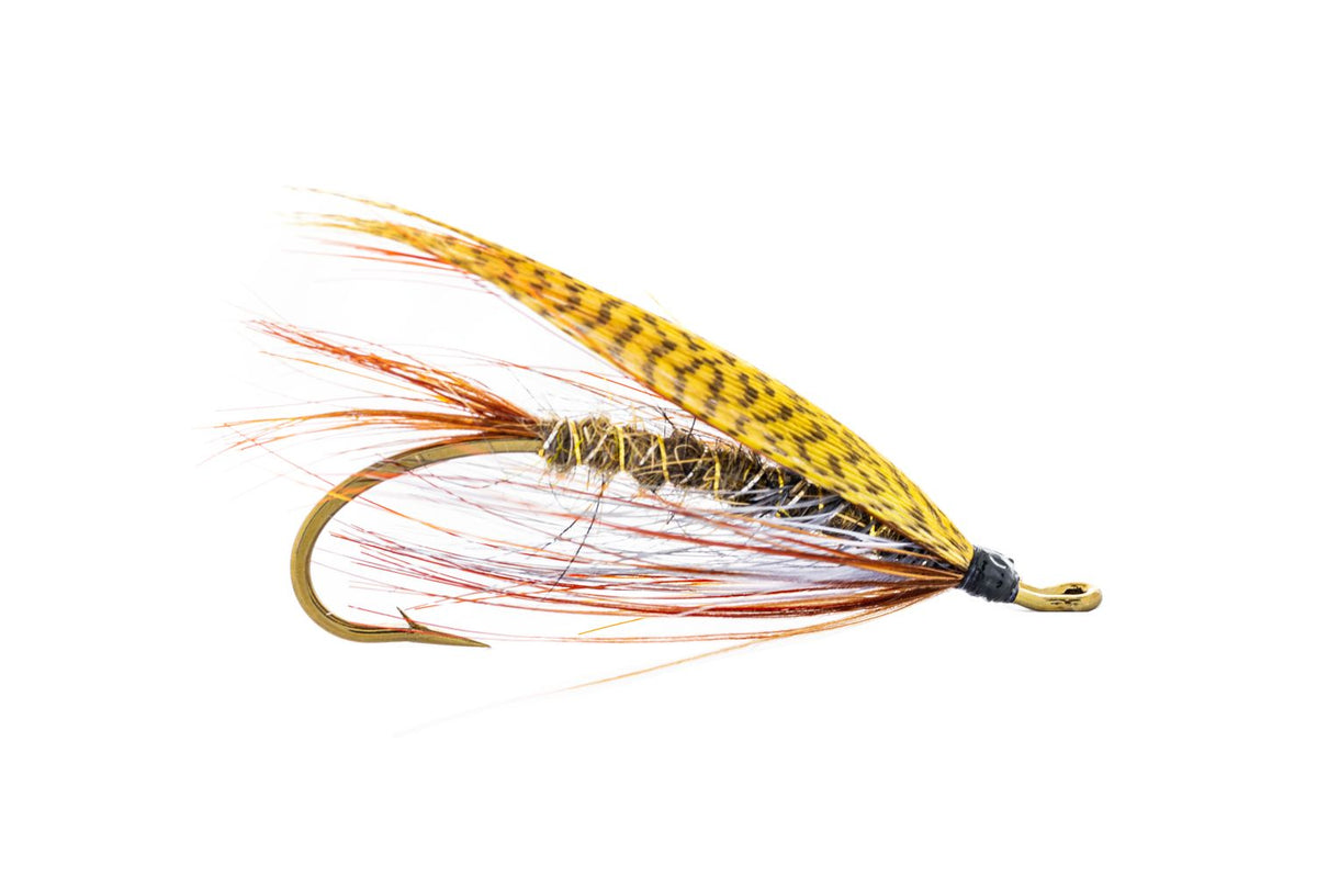 Solitude Lady Carolyn (3-Pack)