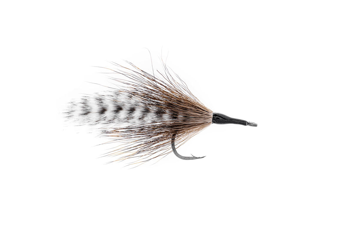 Umpqua Cockroach - Brown  (3-Pack)