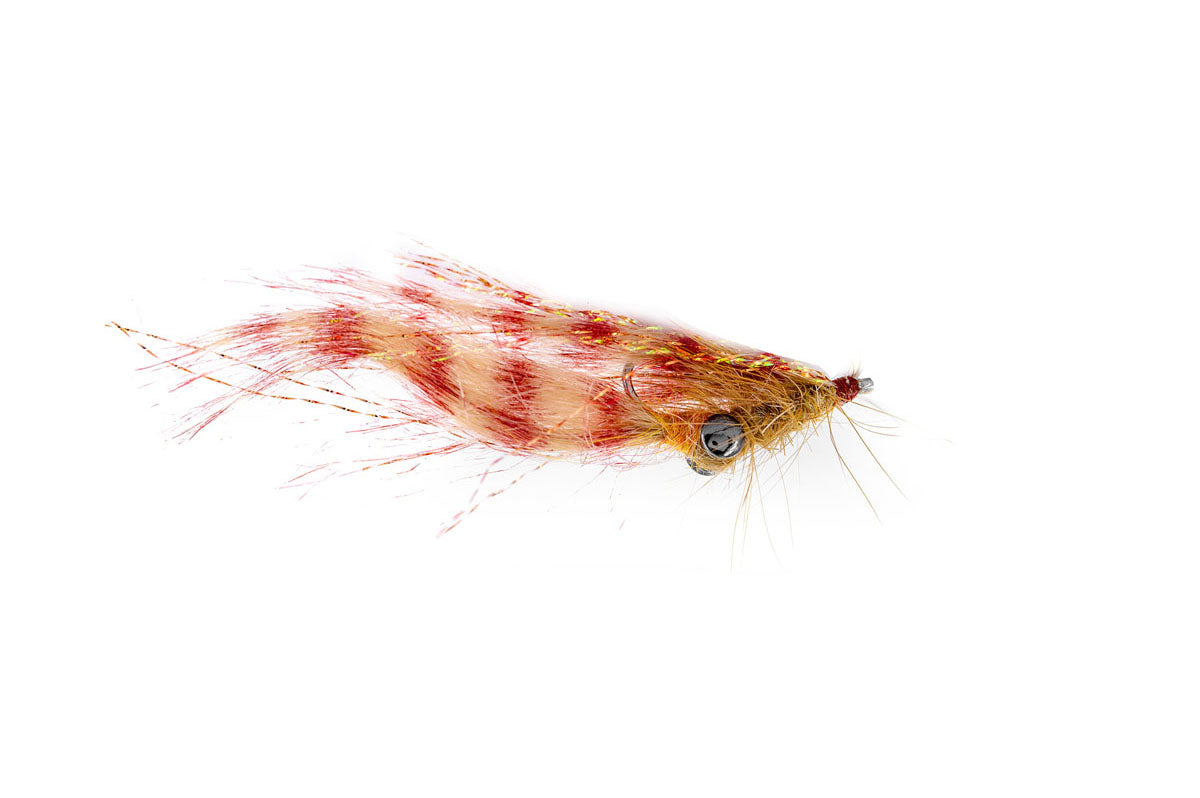 Umpqua Crafty Shrimp WTD (3-Pack)