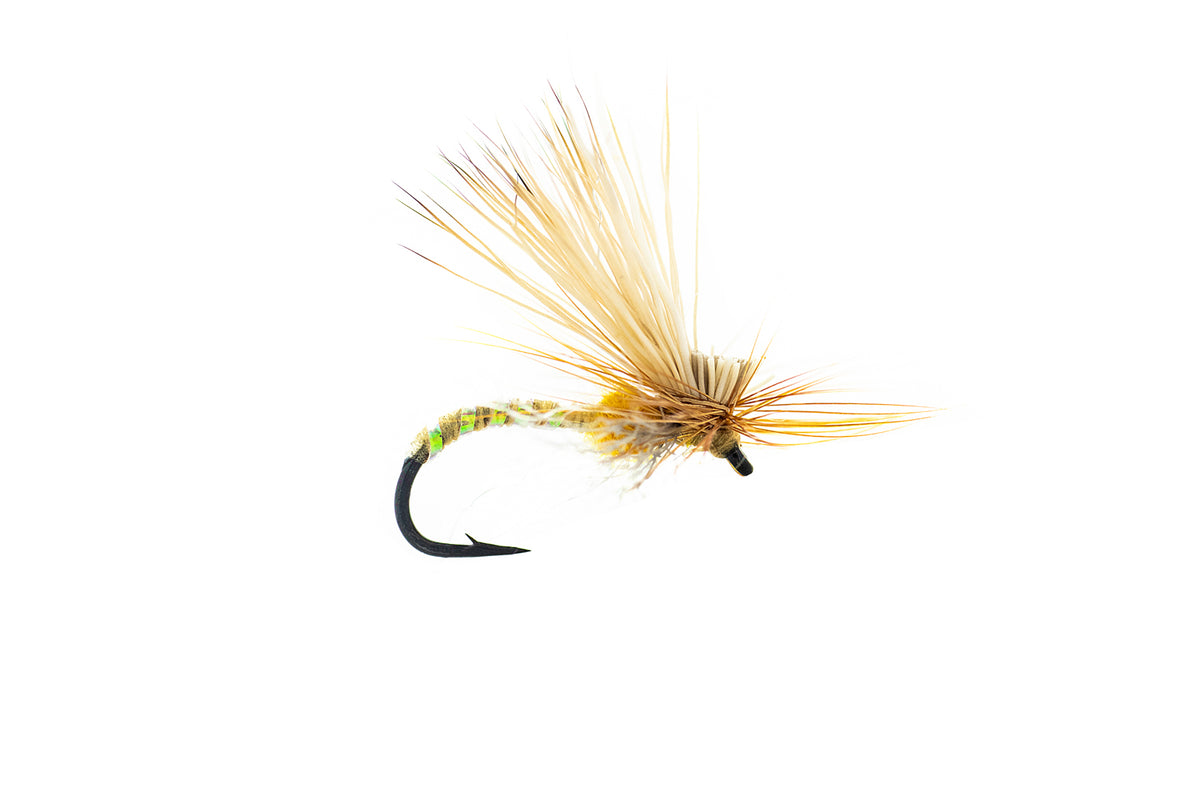 Umpqua Missing Link Caddis  (3-Pack)