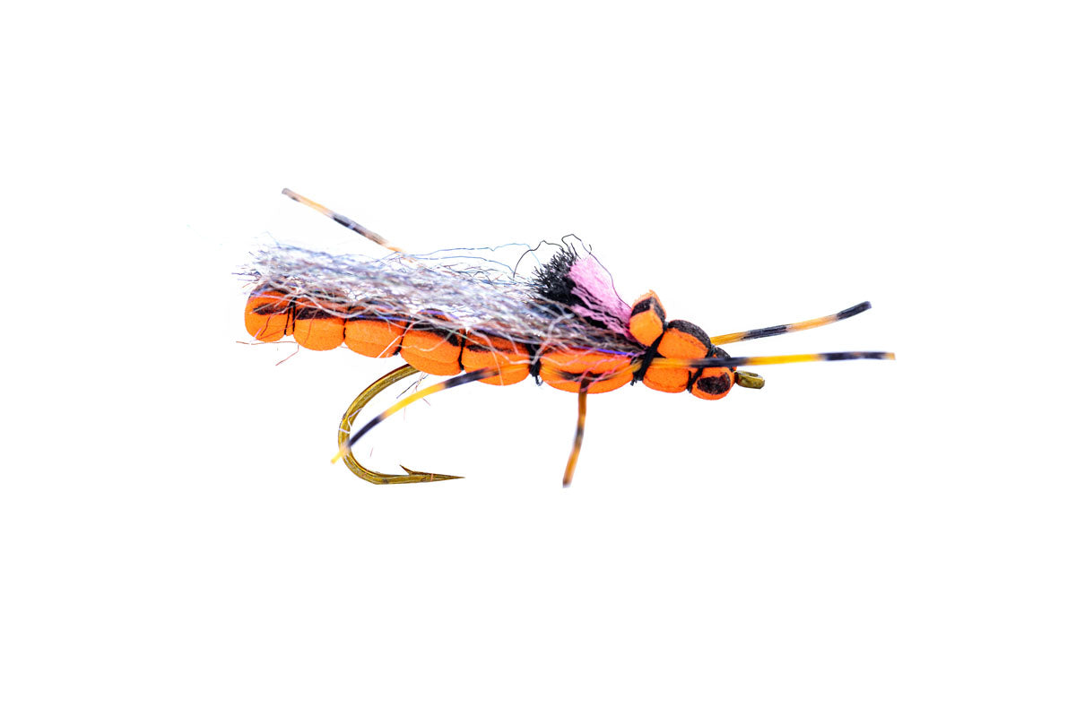 Umpqua Morningwood Special (3-Pack)