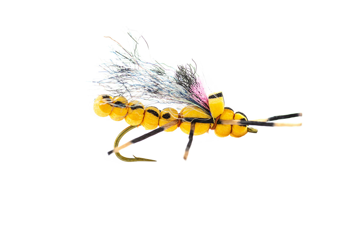 Umpqua Morningwood Stone - Golden (3-Pack)