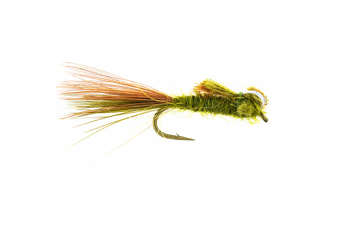 Umpqua Scott's Damsel - Dirty Olive (3-Pack)