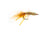 Umpqua Spawning Mantis - Tan/Orange (3-Pack)