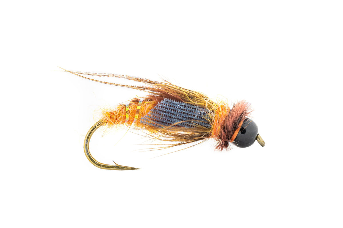 Umpqua October Caddis Nymph (3-Pack)