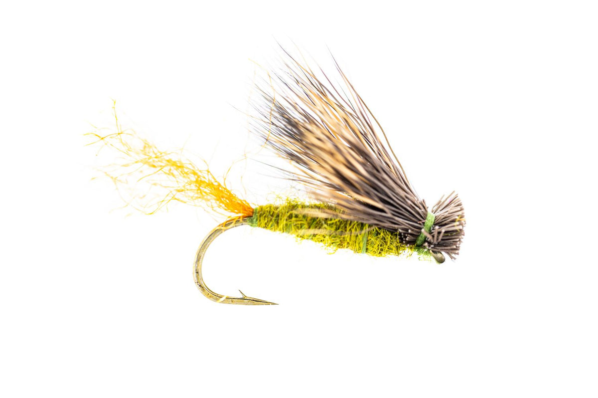 Umpqua X Caddis - Olive (3-Pack)