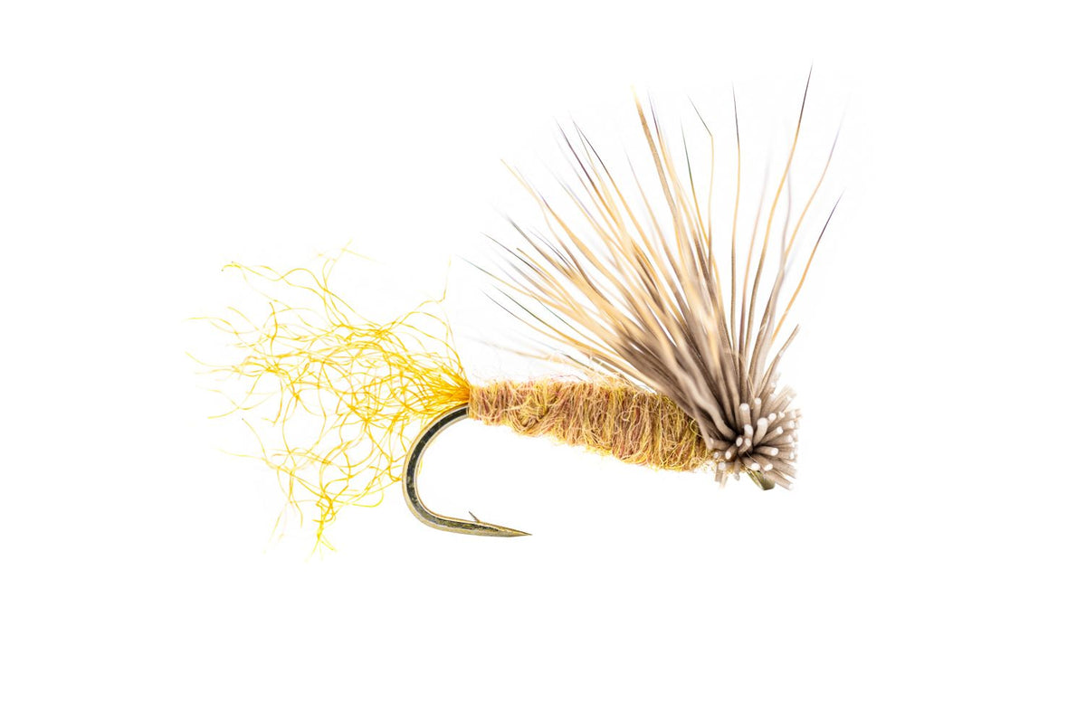 Umpqua X Caddis - Tan (3-Pack)