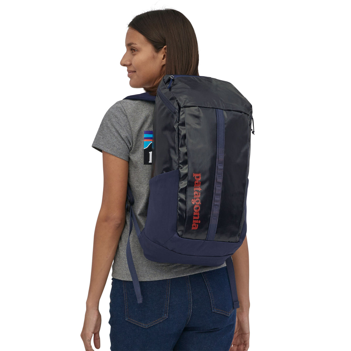 Patagonia Black Hole Pack 25L